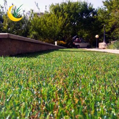 نمونه کار چمن مصنوعی مونتکس - پروژه ۴۱
